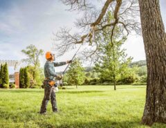 Essential Tips for Hiring Quality Tree Removal and Cutting Services