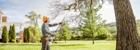 Essential Tips for Hiring Quality Tree Removal and Cutting Services