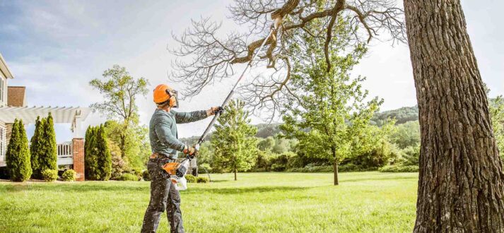 Essential Tips for Hiring Quality Tree Removal and Cutting Services